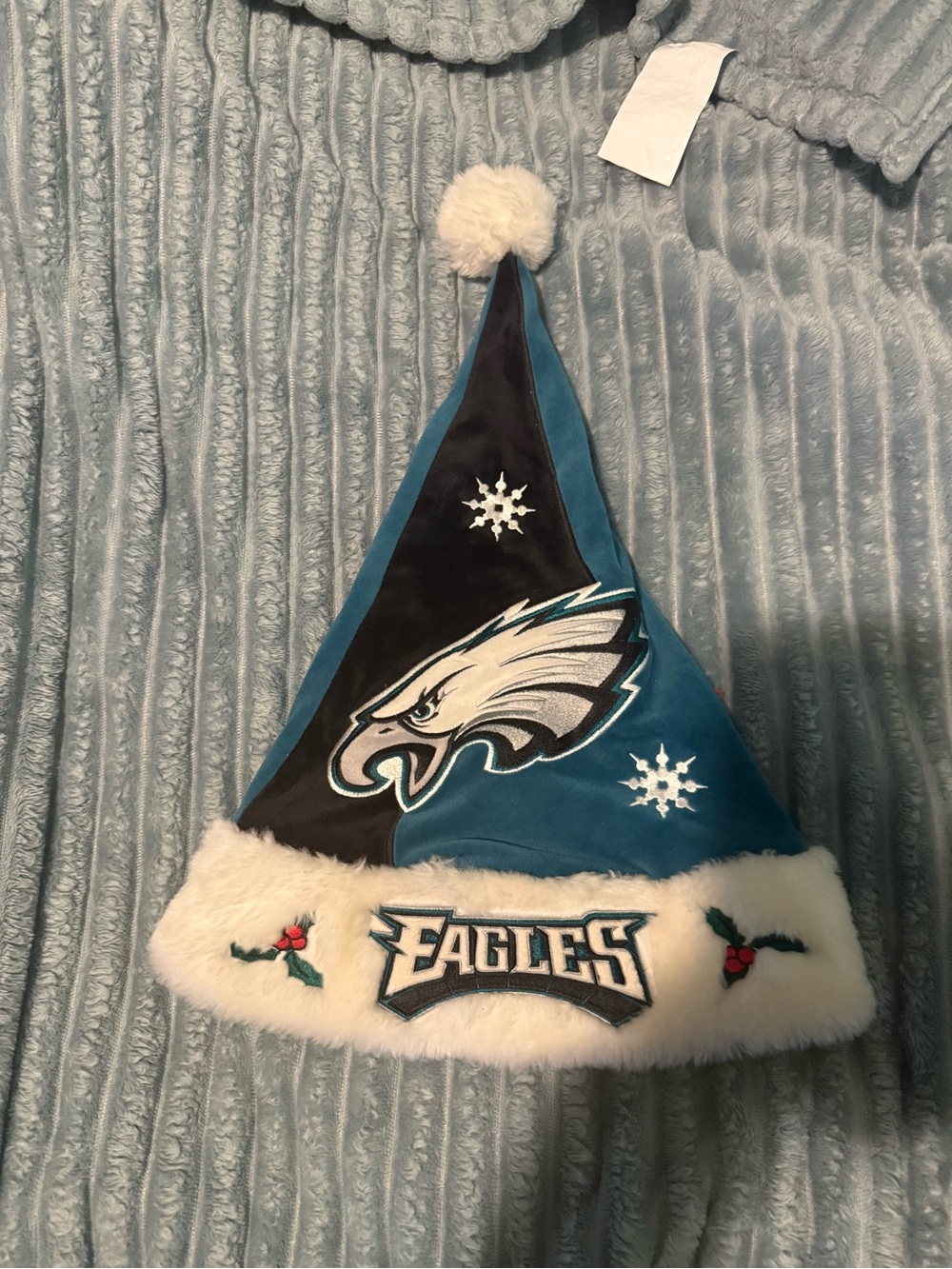 Eagles  Holiday Santa Hat